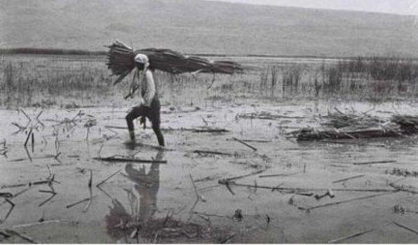  | موسوعة القرى الفلسطينية