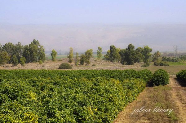  | موسوعة القرى الفلسطينية