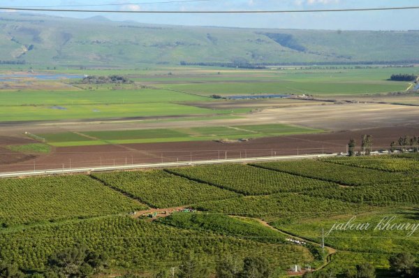  | موسوعة القرى الفلسطينية