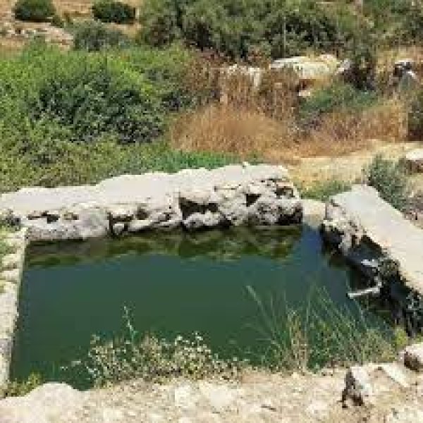  | موسوعة القرى الفلسطينية