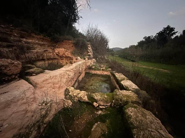  | موسوعة القرى الفلسطينية