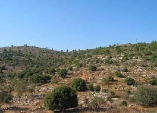  | موسوعة القرى الفلسطينية