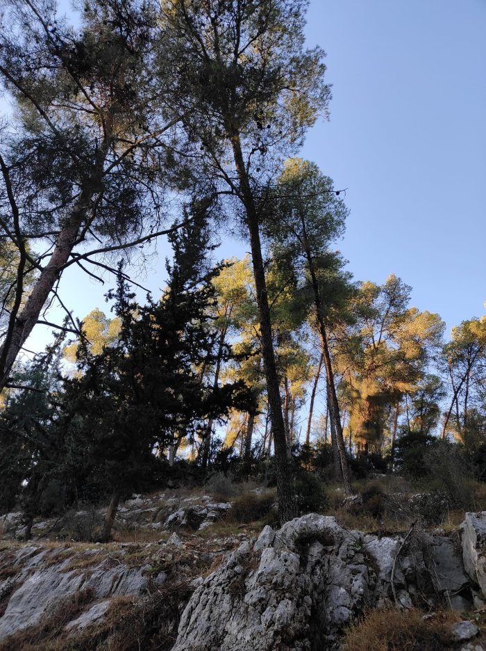 كسلا / من قرى عرقوب  | موسوعة القرى الفلسطينية