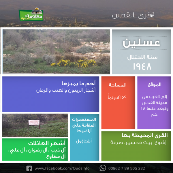 انفوغراف قرية عسلين