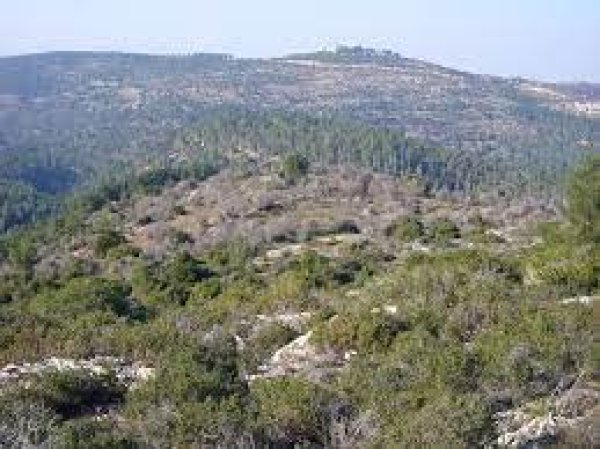 قرية بيت ام الميس