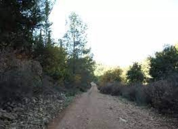 قرية بيت ام الميس