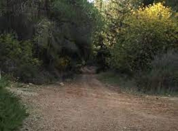 قرية بيت ام الميس