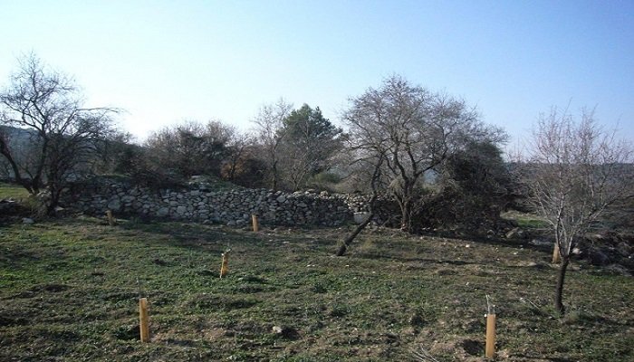 بيت ام الميس / خربة ام الميس  | موسوعة القرى الفلسطينية