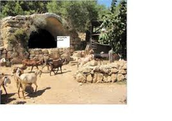  | موسوعة القرى الفلسطينية