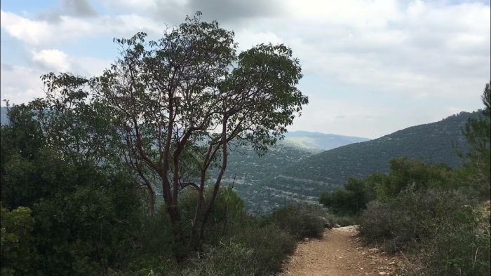 دير الهوا / من قرى عرقوب  | موسوعة القرى الفلسطينية