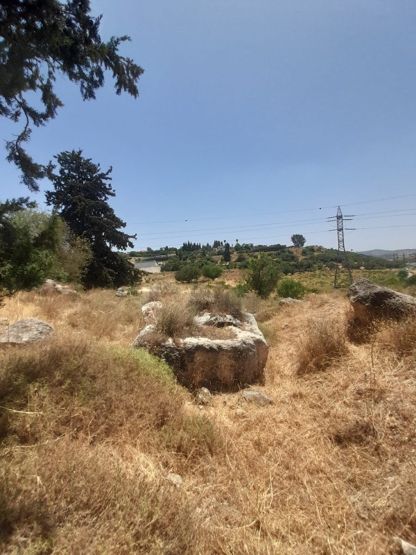 عرتوف /  القدس