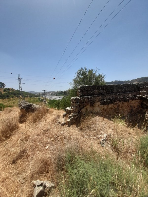 عرتوف /  القدس