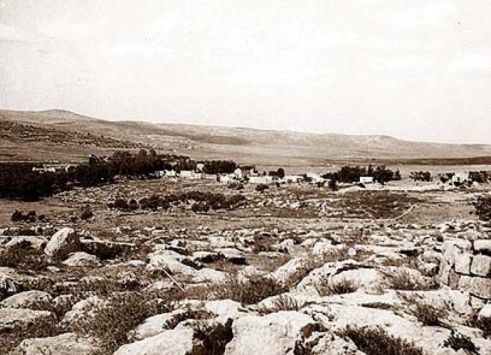 عرتوف / عرطوف / بيت الشمس / من قرى عرقوب  | موسوعة القرى الفلسطينية