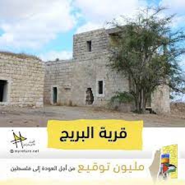 قرية البريج