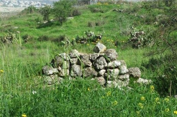 قرية البريج