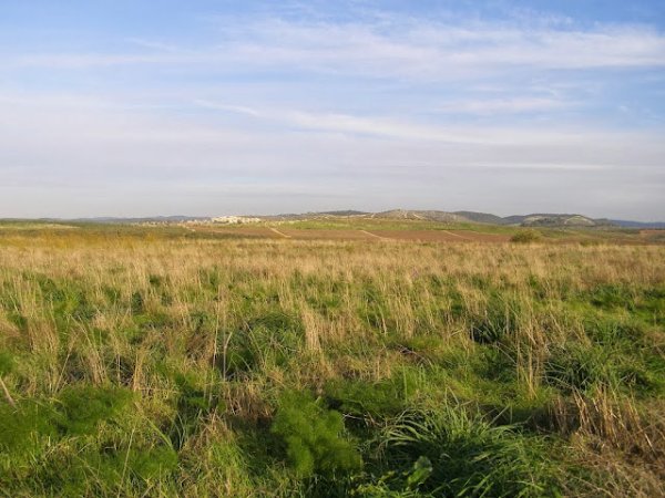 قرية البريج