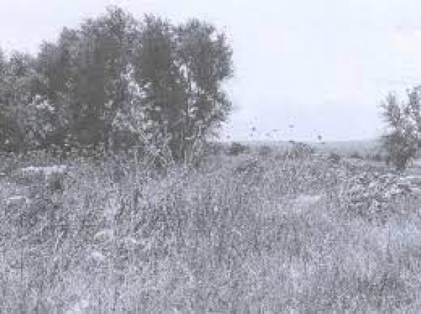 قرية المغلس / الخليل