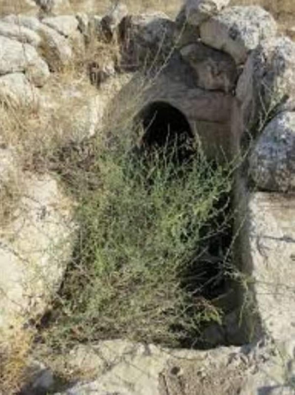  | موسوعة القرى الفلسطينية