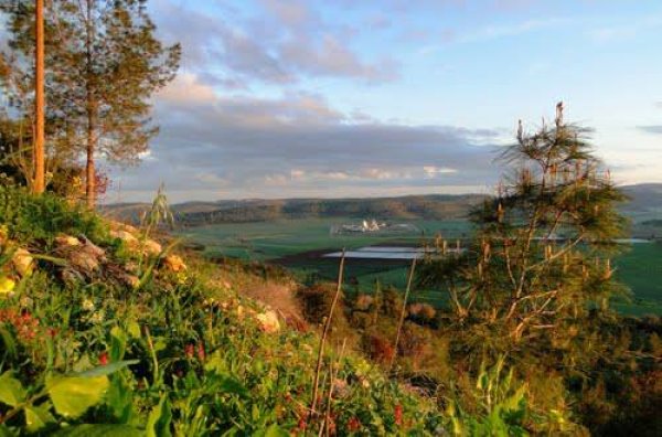  | موسوعة القرى الفلسطينية