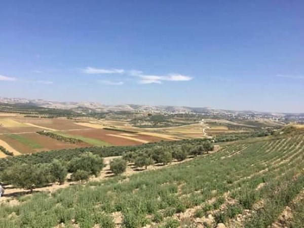  | موسوعة القرى الفلسطينية