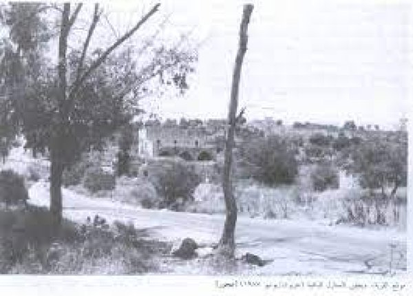  | موسوعة القرى الفلسطينية