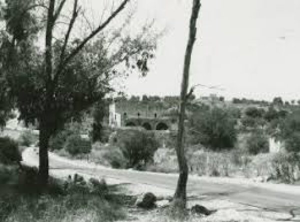  | موسوعة القرى الفلسطينية