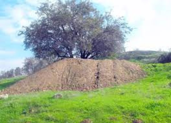  | موسوعة القرى الفلسطينية