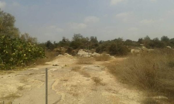  | موسوعة القرى الفلسطينية