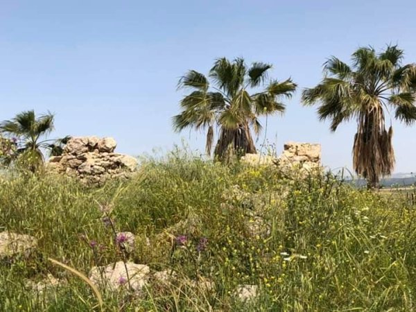  | موسوعة القرى الفلسطينية