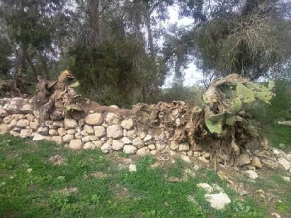  | موسوعة القرى الفلسطينية