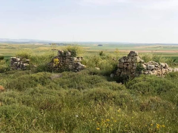  | موسوعة القرى الفلسطينية