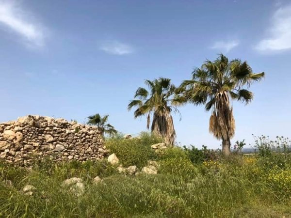  | موسوعة القرى الفلسطينية