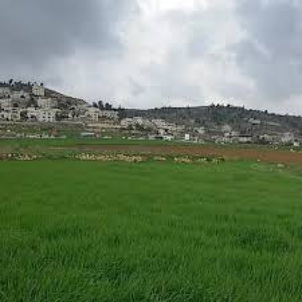  | موسوعة القرى الفلسطينية