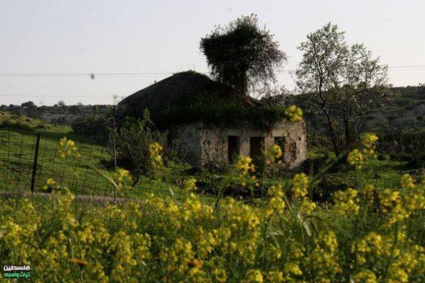  | موسوعة القرى الفلسطينية