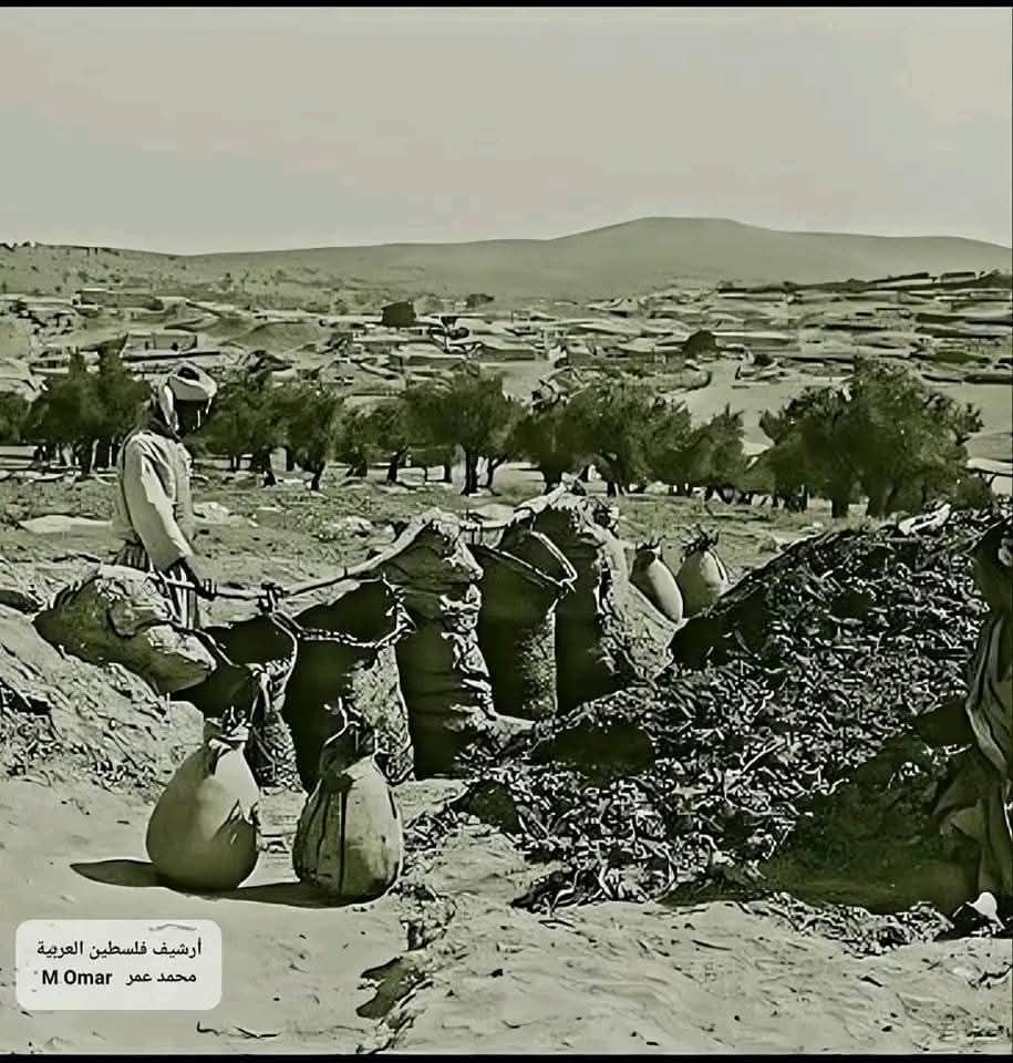  | موسوعة القرى الفلسطينية