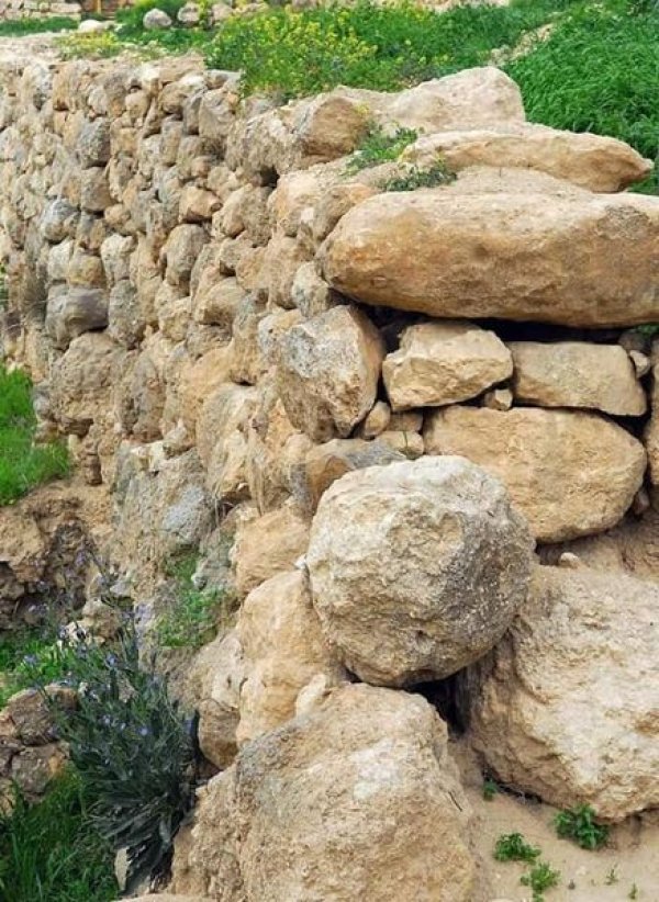  | موسوعة القرى الفلسطينية