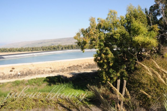 تُلَيِّل/ أهلها من أصول جزائرية  | موسوعة القرى الفلسطينية