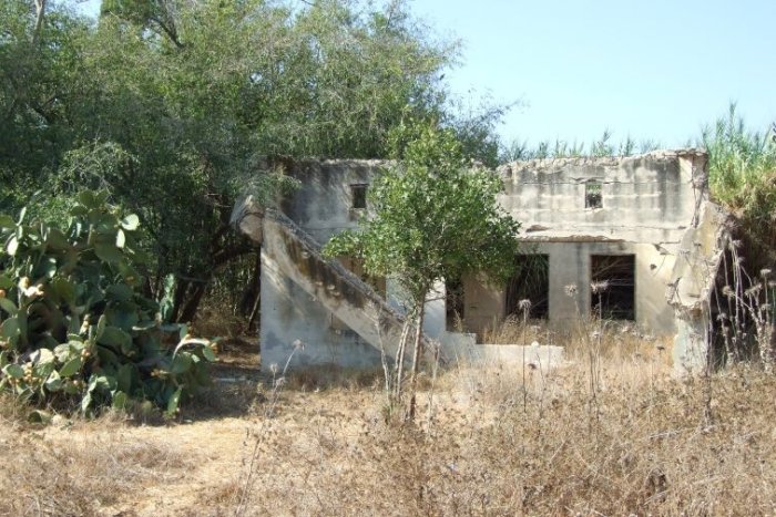 نِعِلْيَا  | موسوعة القرى الفلسطينية