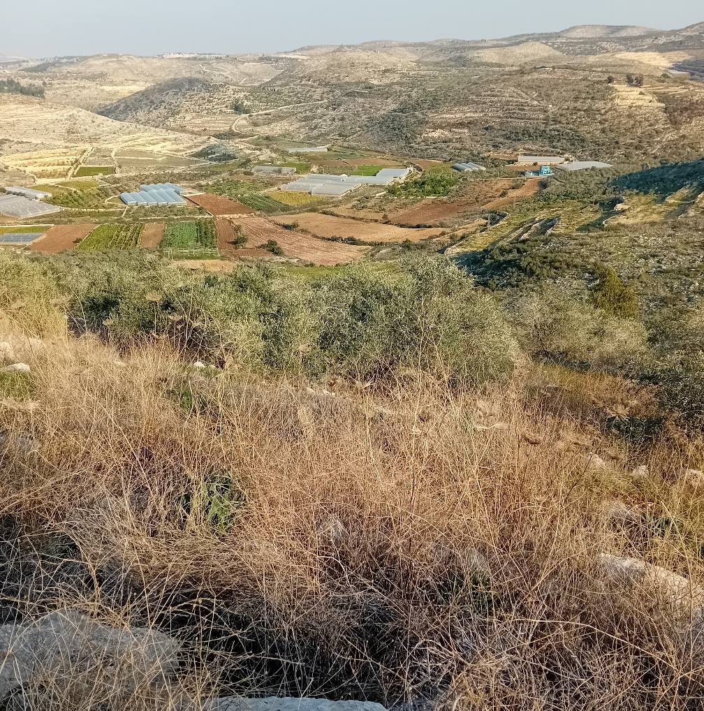  | موسوعة القرى الفلسطينية