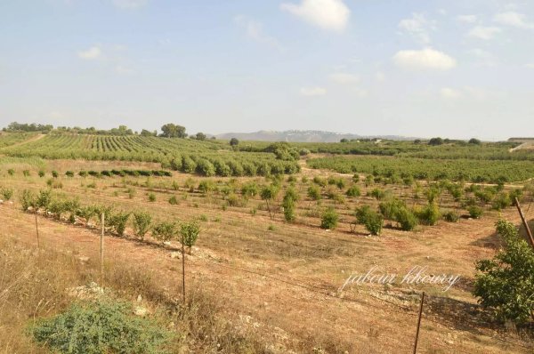  | موسوعة القرى الفلسطينية