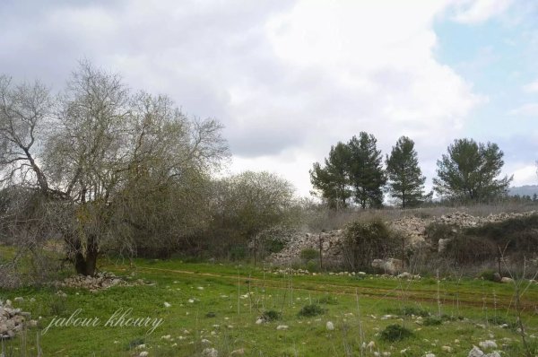  | موسوعة القرى الفلسطينية