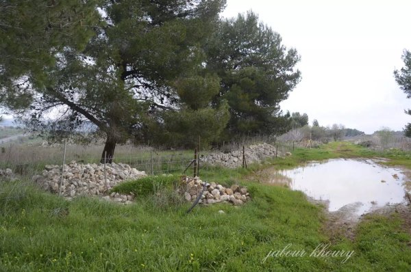  | موسوعة القرى الفلسطينية