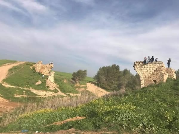  | موسوعة القرى الفلسطينية