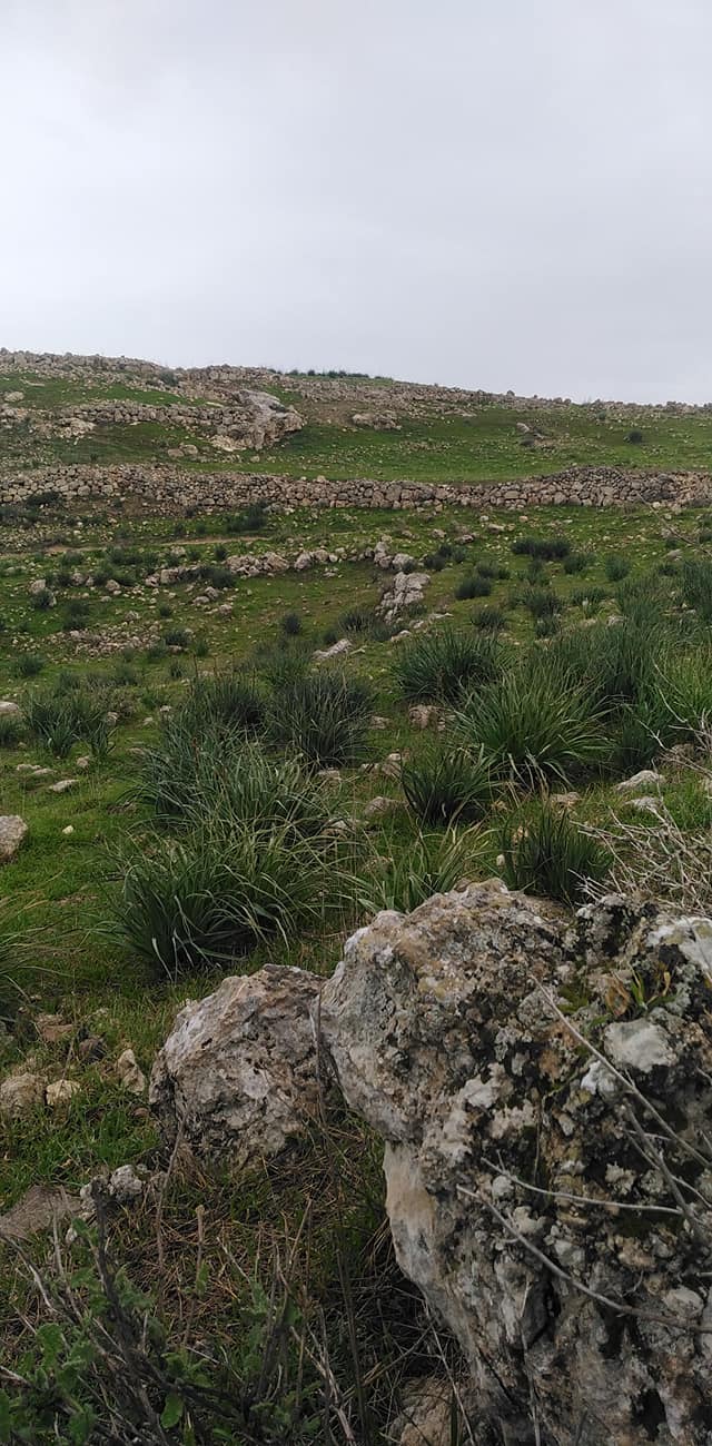 مران  | موسوعة القرى الفلسطينية