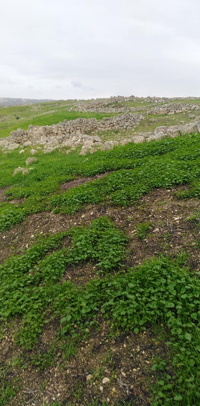  | موسوعة القرى الفلسطينية