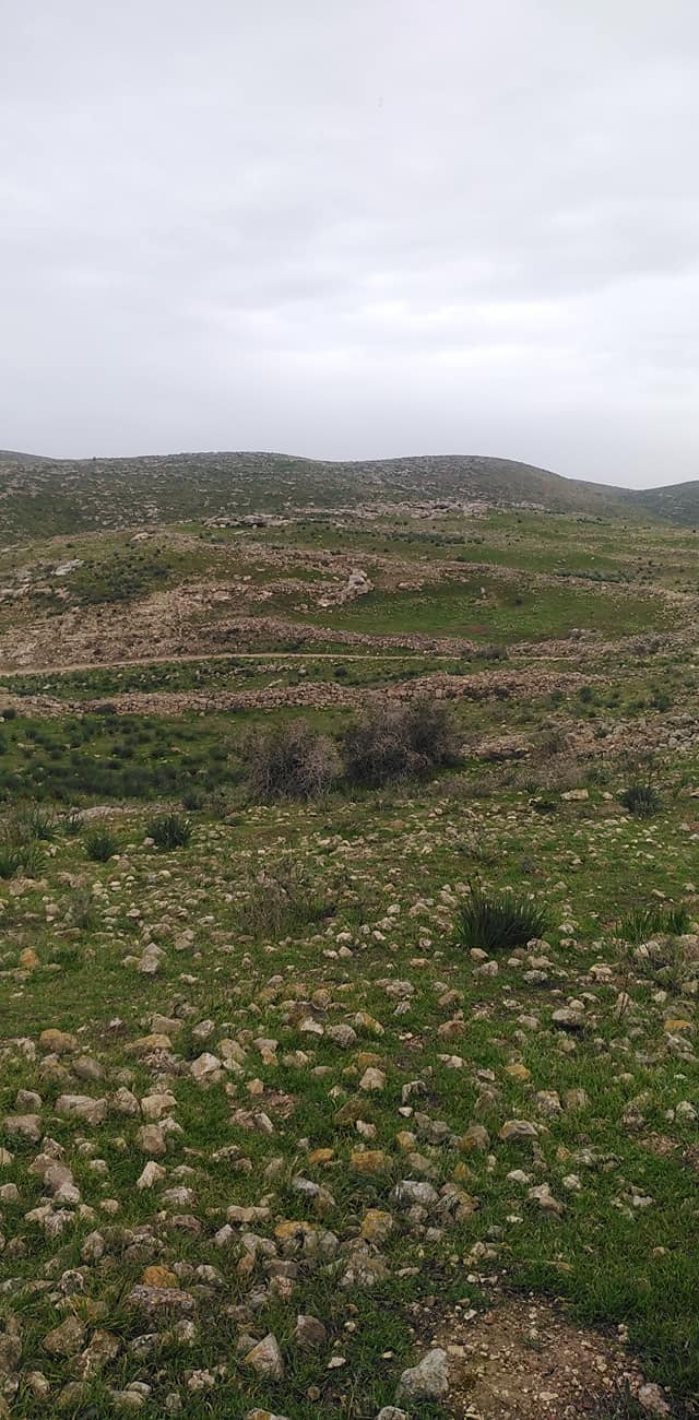  | موسوعة القرى الفلسطينية