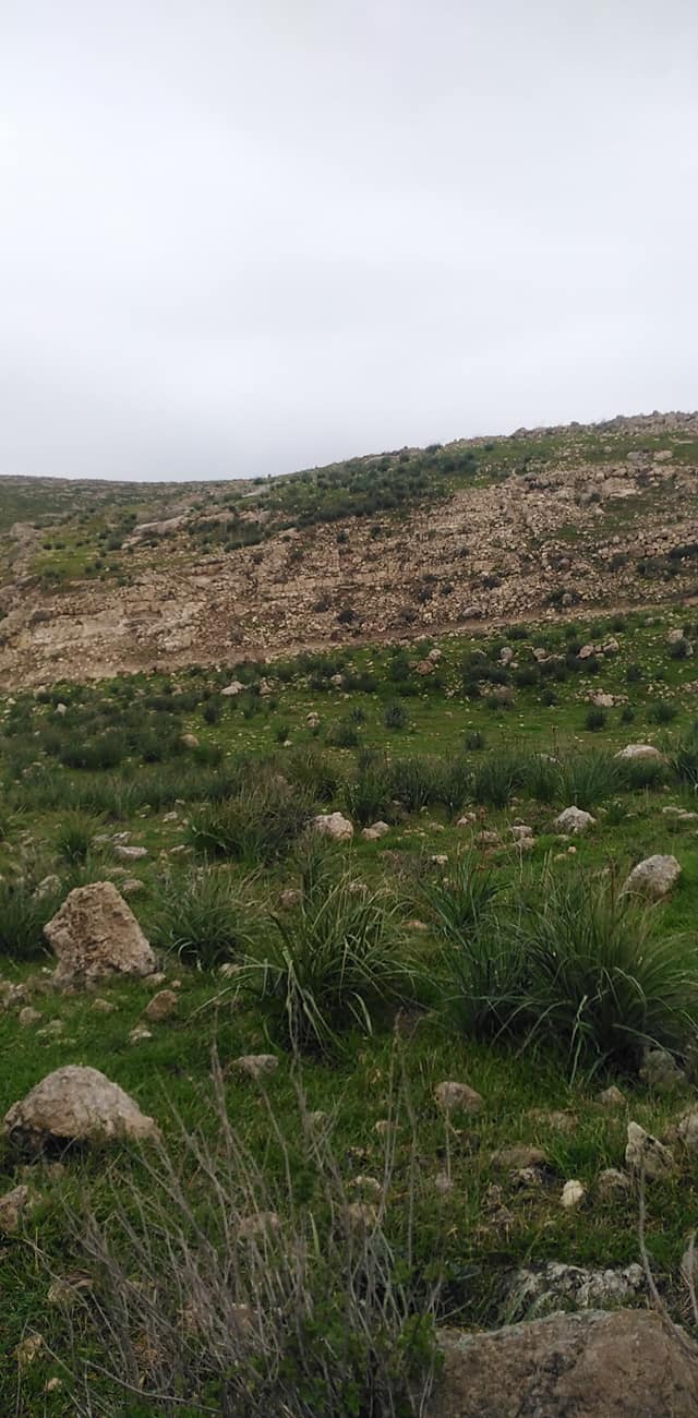  | موسوعة القرى الفلسطينية