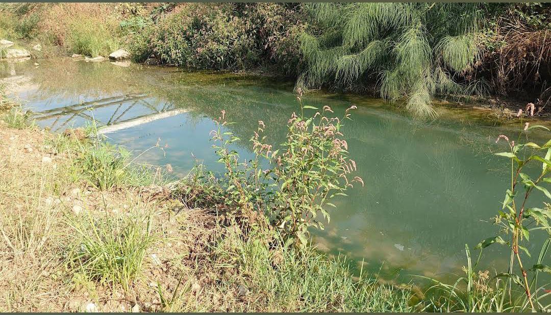  | موسوعة القرى الفلسطينية