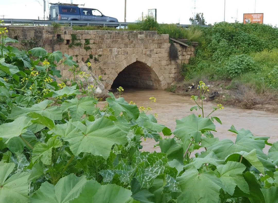  | موسوعة القرى الفلسطينية