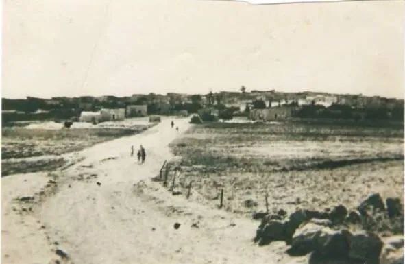 مجزرة أبو شوشة